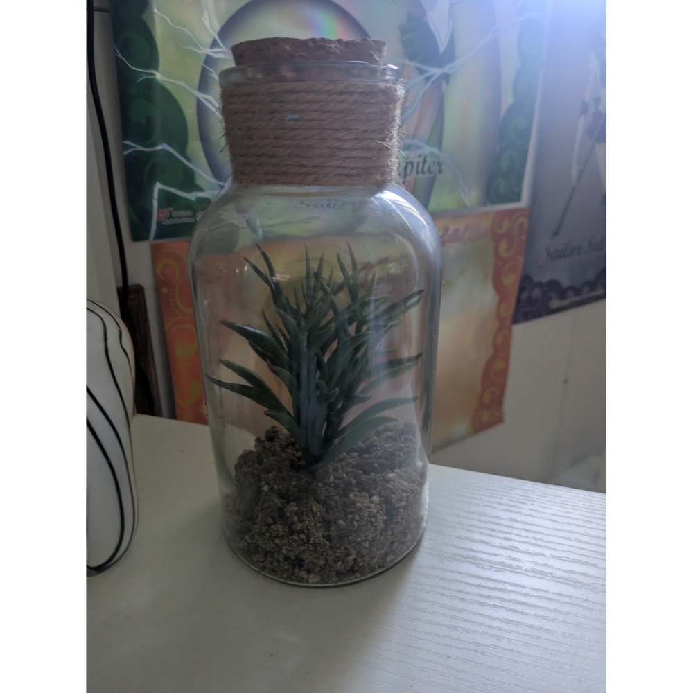 Ashland Greenhouse Faux Succulent Glass Jar Terrarium Cork Top Twine Wrap Decor